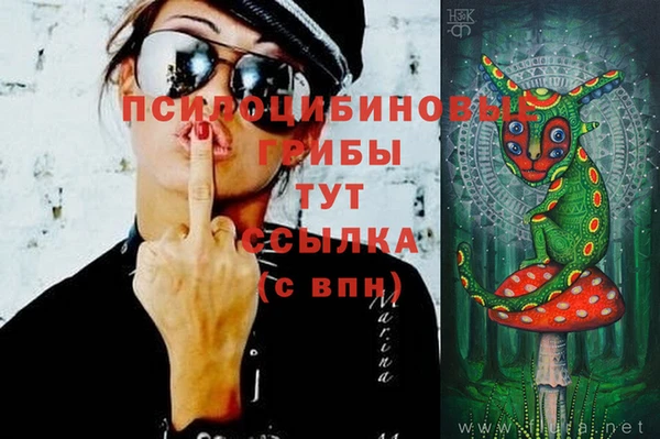 первитин Михайловск