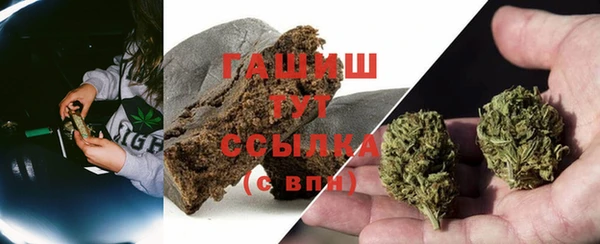 крисы Аша