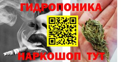 гашик Гусиноозёрск