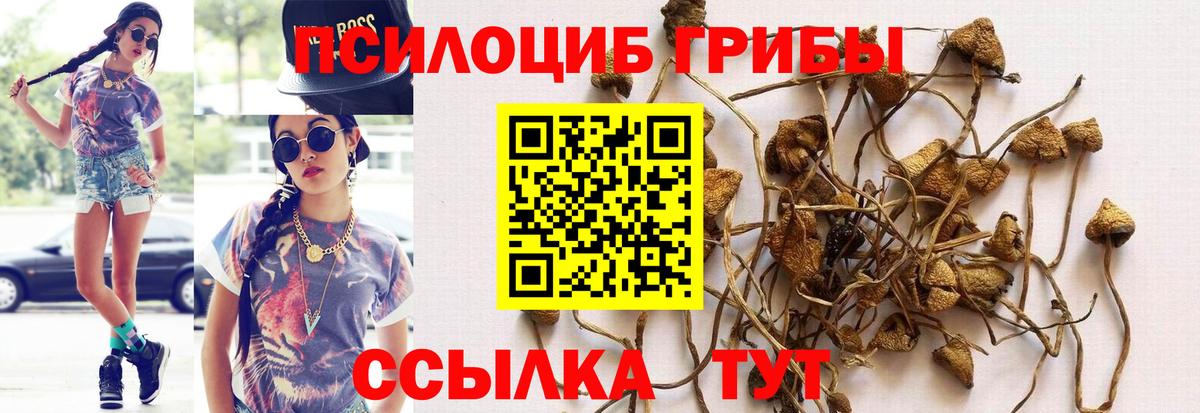Галлюциногенные грибы Psilocybe  Псилоцибиновые грибы Cubensis  Вход с VPN  магазин  наркотиков  Старая Русса 
